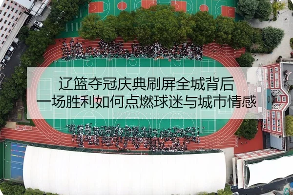 liao-lan-duo-guan-qing-dian-shua-ping-quan-cheng-bei-hou-yi-chang-sheng-li-ru-he-dian-ran-qiu-mi-yu-cheng-shi-qing-gan-2-403.jpg